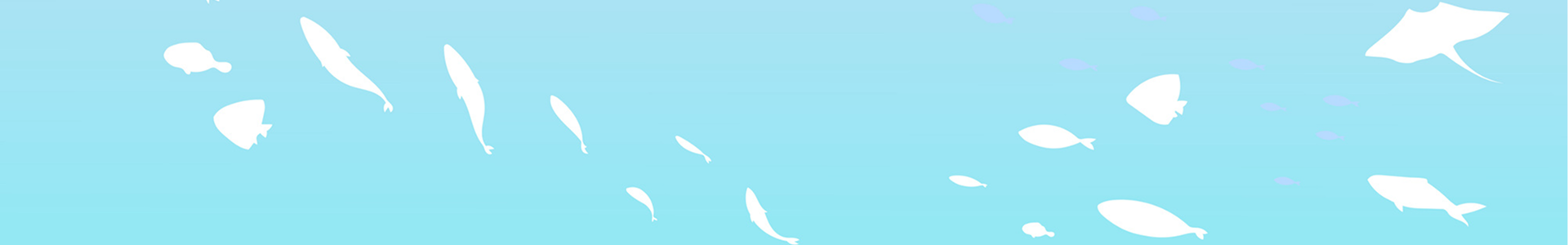 株式会社 Platz